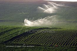 Image du Maroc Professionnelle de  Agriculture moderne système d'arrosage mobile dans le Gharb région de Larache au Nord Ouest du Maroc, Lundi 1er Juillet 2002. (Photo / Abdeljalil Bounhar) 